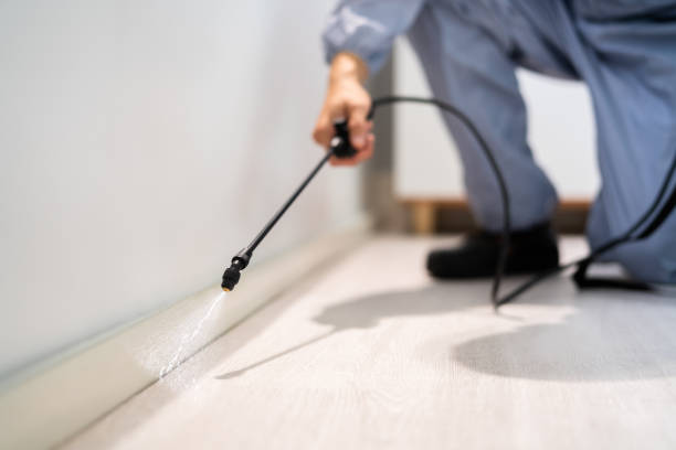 Licensed Mosquito Control service in Caruthers, CA - Show Me Pest Control