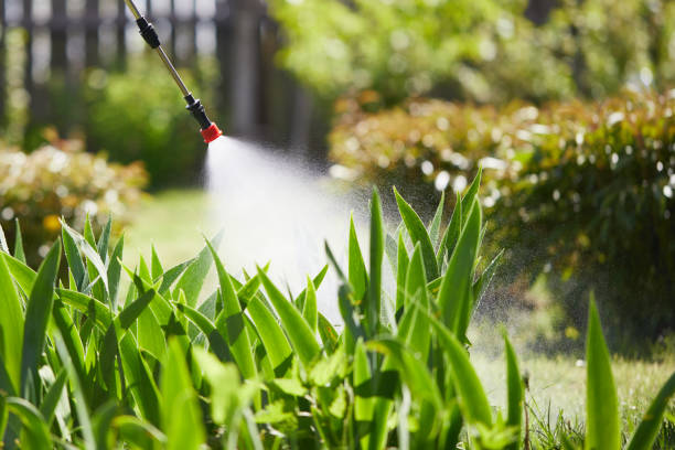 24/7 Emergency Mosquito Control experts in Caruthers, CA