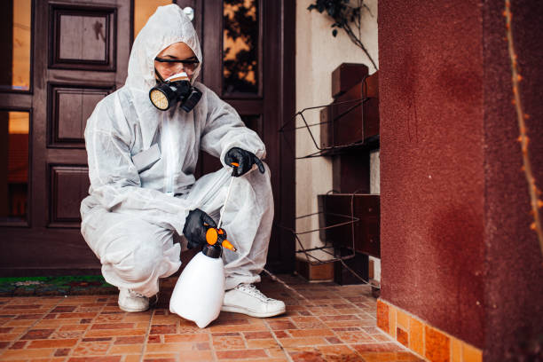 Reliable Mosquito Control contractor in Caruthers, CA by Show Me Pest Control